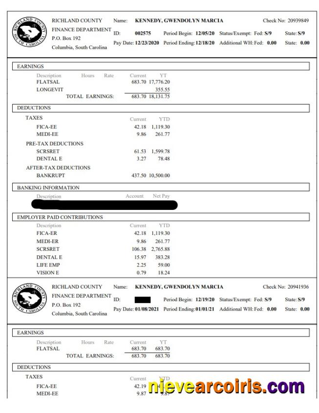 Richland County Finance Department paystub
